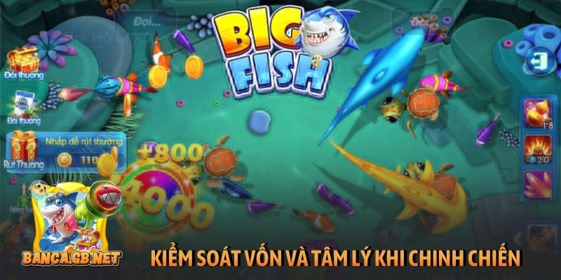 3+ mẹo chơi game bắn cá ăn xu đổi thưởng thắng lớn 2026 1 Kiểm soát vốn và tâm lý khi chinh chiến